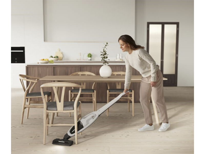 пылесос Electrolux ES52CB18SH купить