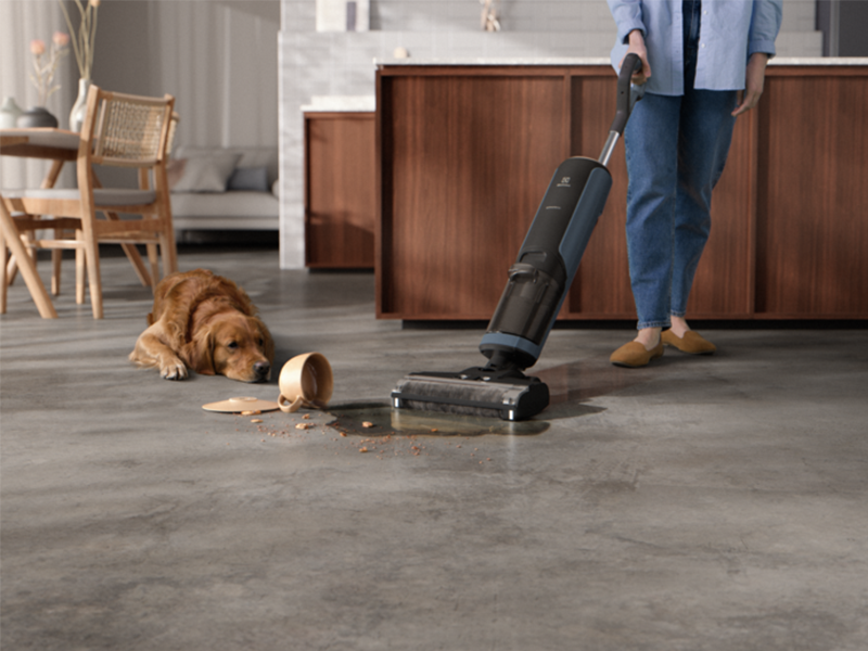 пылесос Electrolux EW81U3DB купить